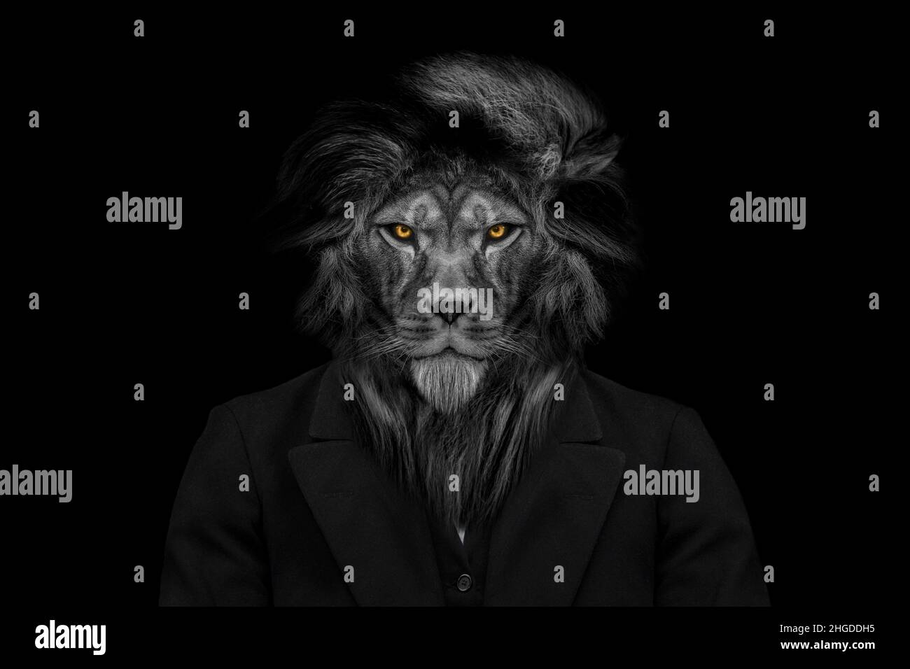 Man in the form of a Lion , The lion person , animal face isolated black white Stock Photo - Alamy Man in the form of a Lion , The lion person , animal face isolated black white Stock Photo - Alamy