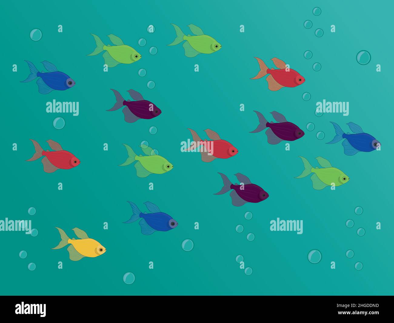 Different colours tetra glofish school vector illustration Stock Vector