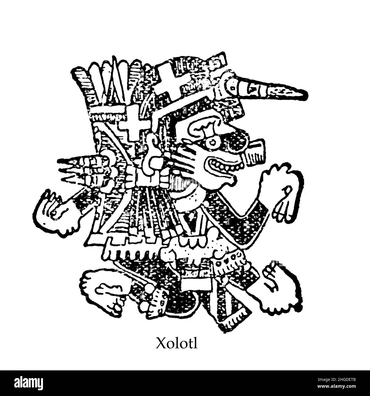 [In Aztec mythology, Xolotl (Nahuatl pronunciation: [ˈʃolot͡ɬ] (About this soundlisten)) was a god of fire and lightning. He was commonly depicted as a dog-headed man and was a soul-guide for the dead]. from the book ' Myths and Legends Mexico and Peru ' by Lewis Spence, Publisher Boston : David D. Nickerson 1913 Stock Photo