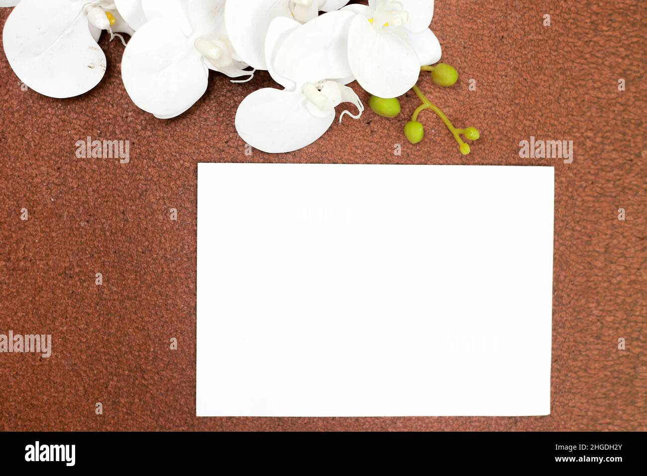 Invitation card mockup, blank greeting card template. Average, minimalist style Stock Photo