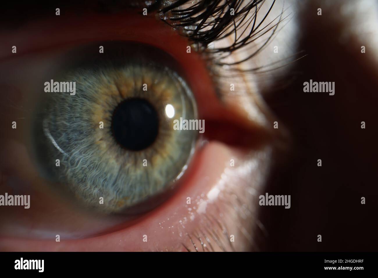 Persons eye, macro shot of female sight organ, beautiful green eye colour Stock Photo
