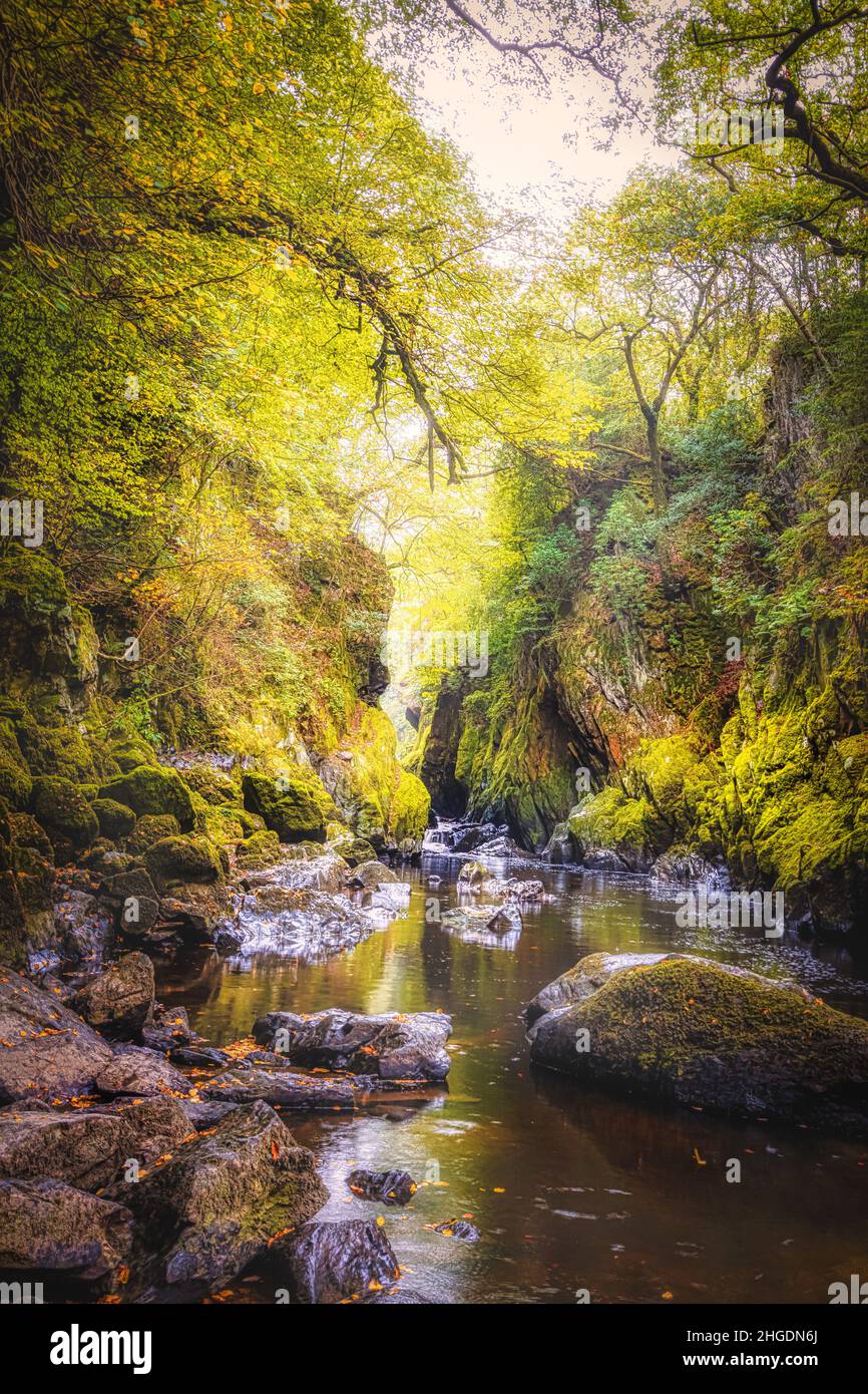 The Fairy Glen and River Conwy, near Betws y coed, Snowdonia National Park, North Wales, UK Stock Photo