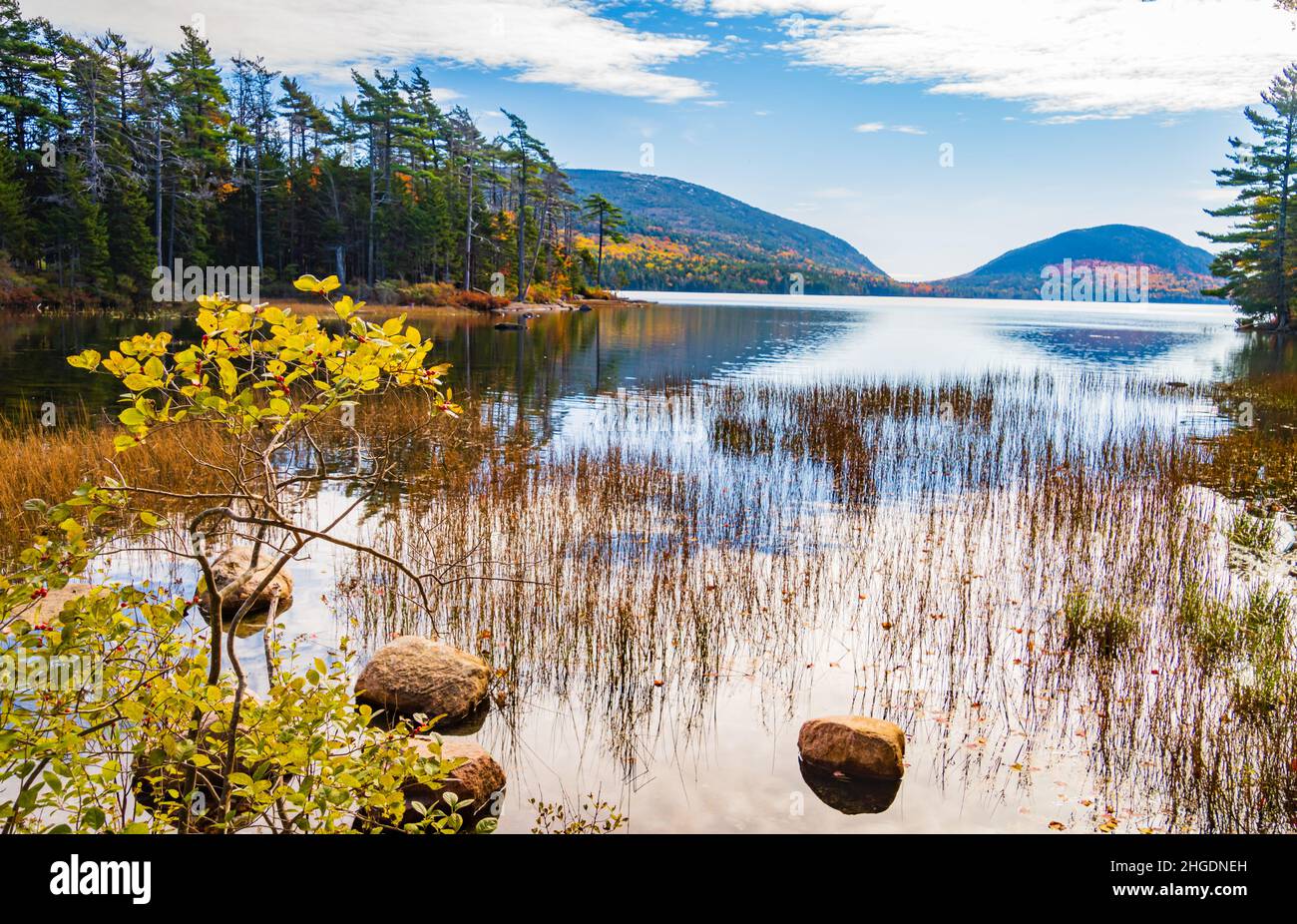 Eagle Lake shoreline in Acadia National Park, Maine, USA Stock Photo
