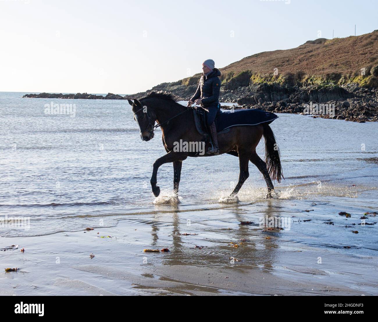 Silhouette of woman riding horse through waves on beach. West Cork