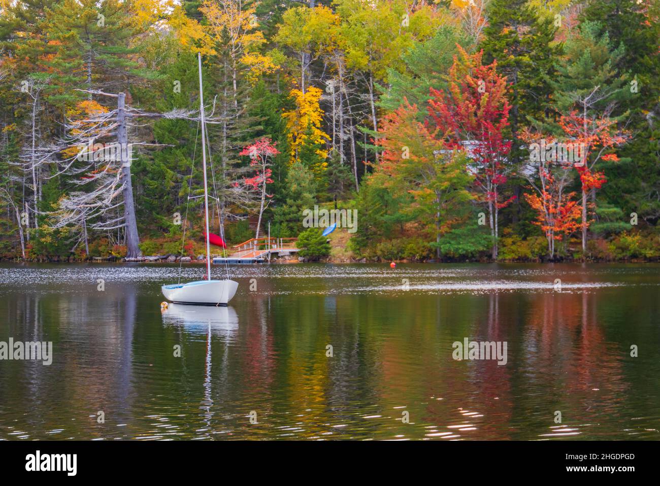 Long Pond shoreline in autumn in Acadia National Park, Maine, USA Stock Photo