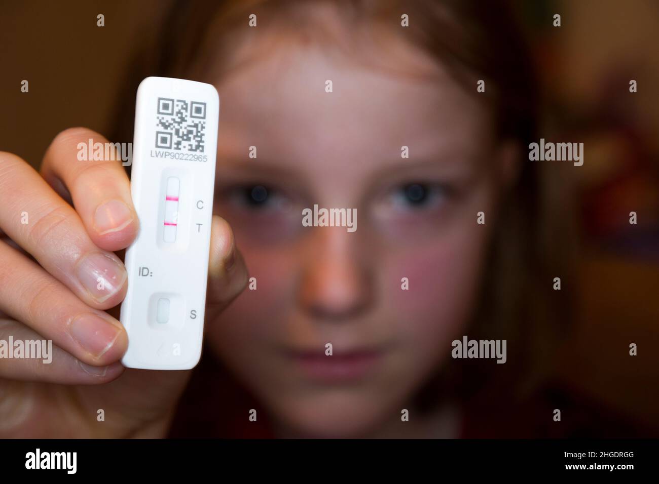 Eleven year old / 11 yr old Year 7 student / child / kid / girl holding up her lateral flow test / LFT / LFD / lateral flow device kit having tested positive (showing two red lines) for COVID 19 virus coronavirus during antigen home testing, in London. UK. The Chinese flow test (by Orient Gene in China) has detected virus in the sample nasal swab taken from the nose. (128) Stock Photo