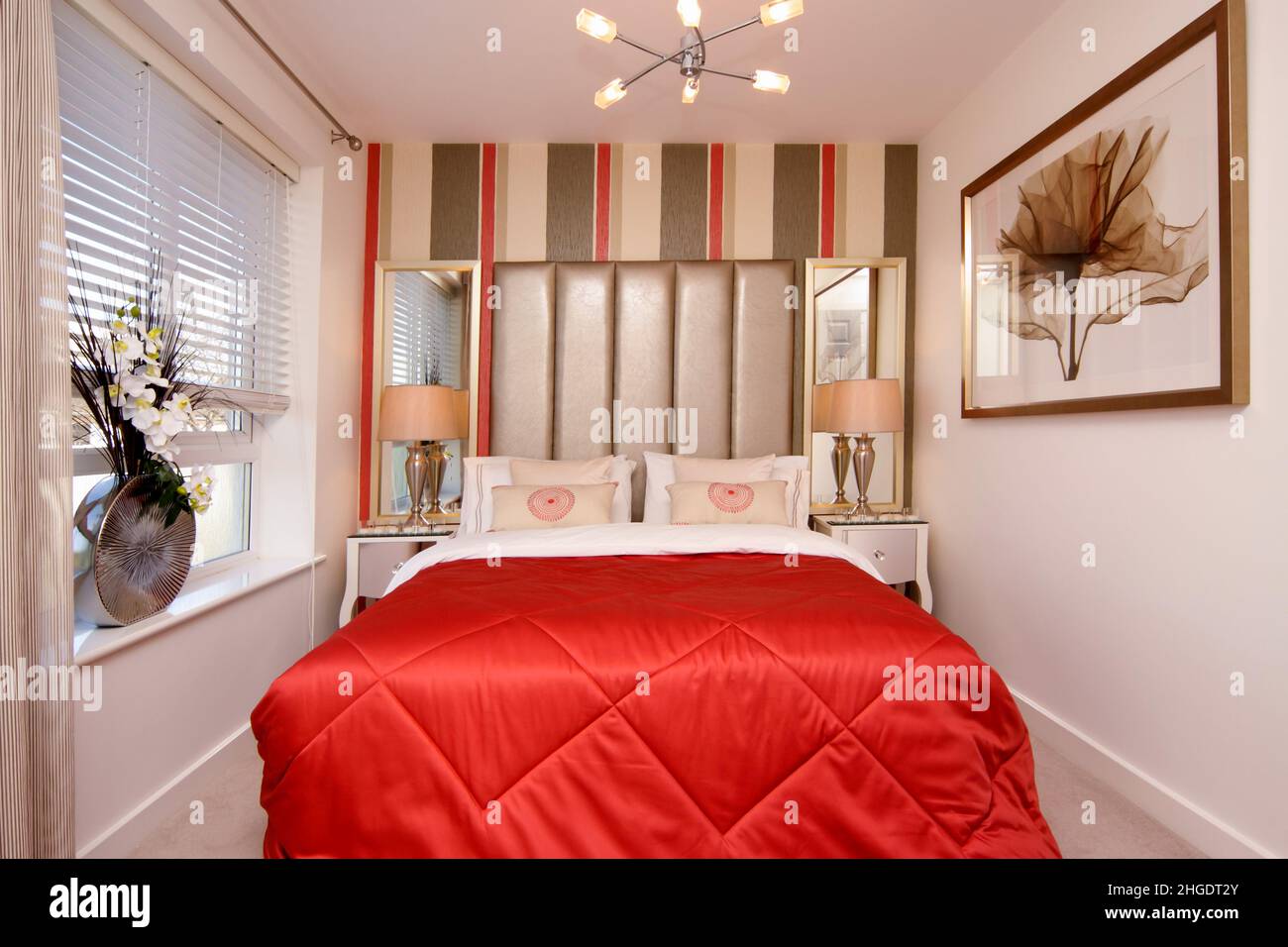 Dramatic bedroom, red bedspread,striped feature wall, gold headboard,double bed,narrow room space,small space living, Stock Photo