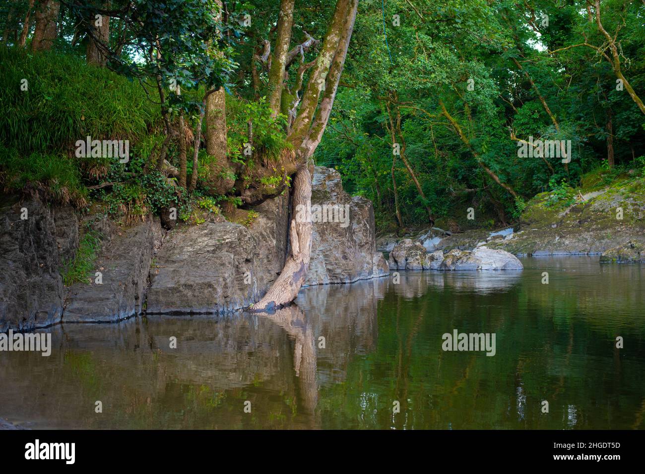 A secluded beach on the banks of the river Tefi, in Llandysul, Wales. A perfect spot for wild swimming. Stock Photo