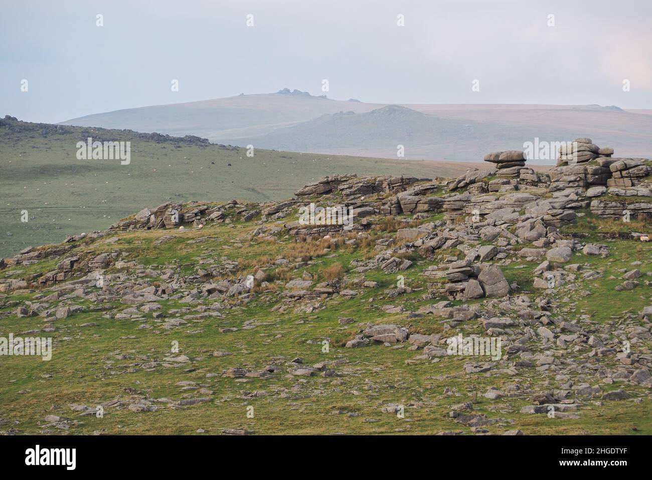 Looking from Great Staple Tor to High Willhays, Dartmoor National Park, Devon Stock Photo