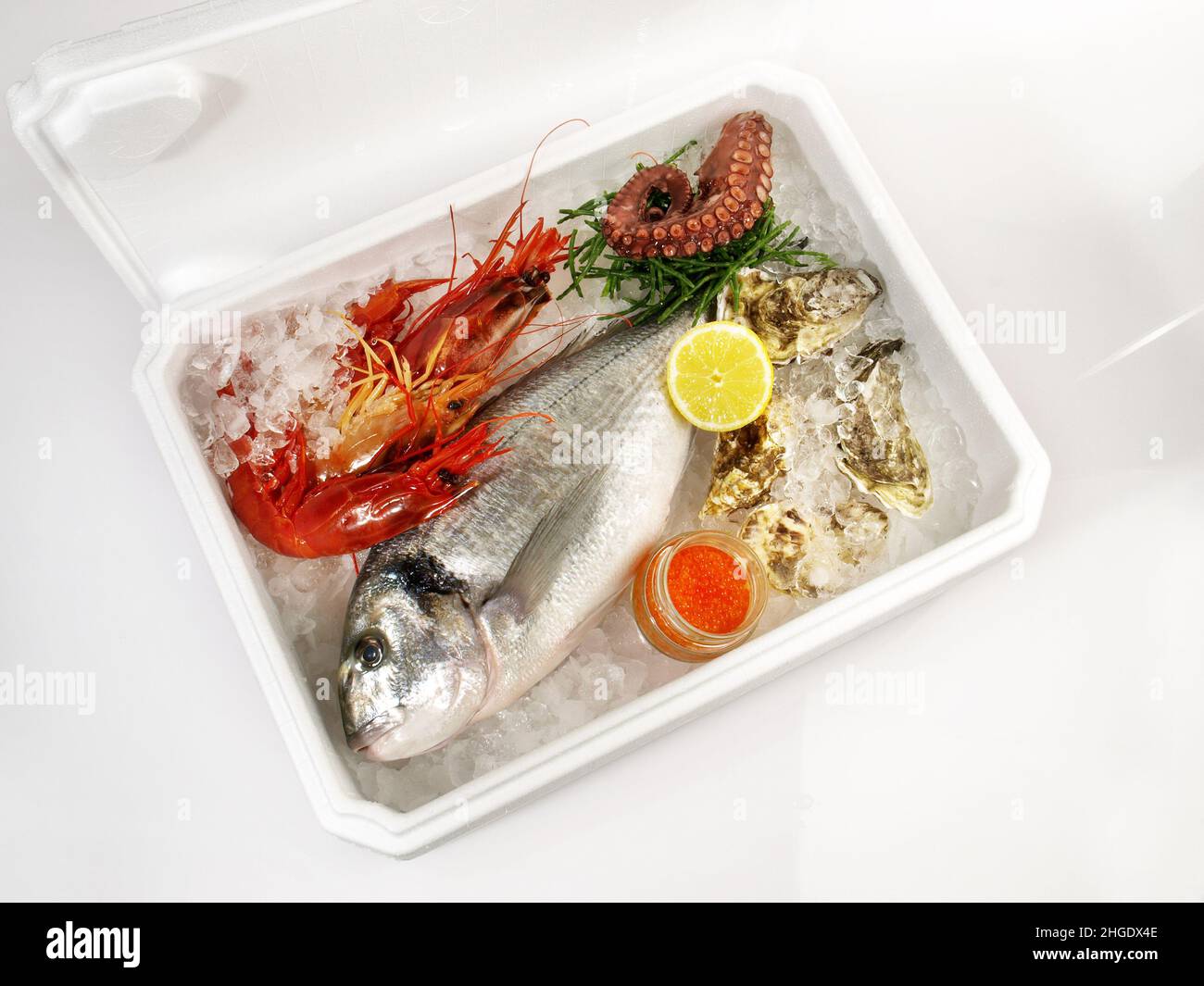 Transportation Box with Ice and Fish isolated on white Background - Grey Seabream and Shrimps Stock Photo