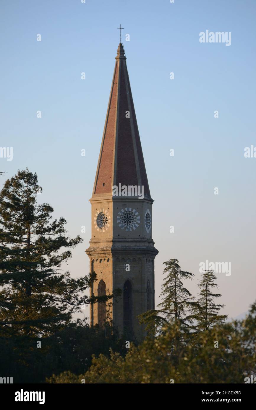 the belltower of cathedral in neogothic style beyond the trees against blue sky at sunset Stock Photo