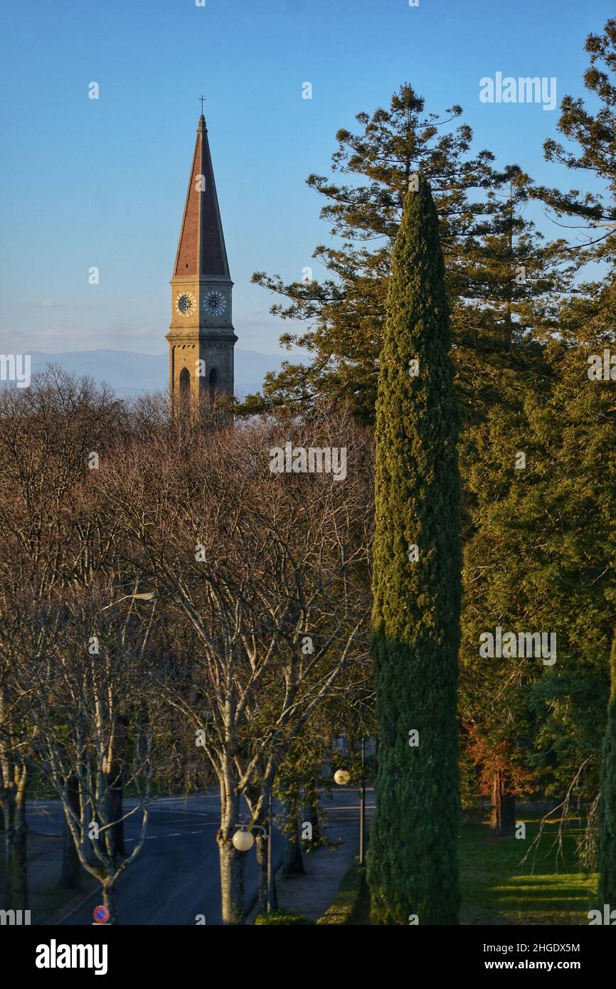 the cathedral bell tower that emerges beyond the trees of a city avenue Stock Photo