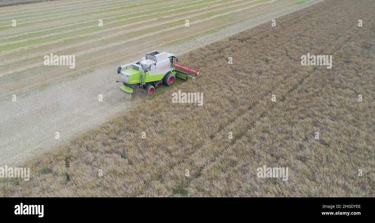 Harvisting Field Agriculture Harvester Harvesting Field Aerial View Stock Photo - Alamy