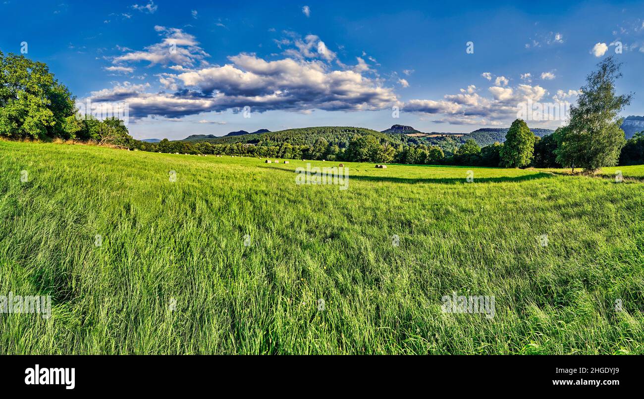 Beautiful sunny day corn fields hi-res stock photography and images - Alamy