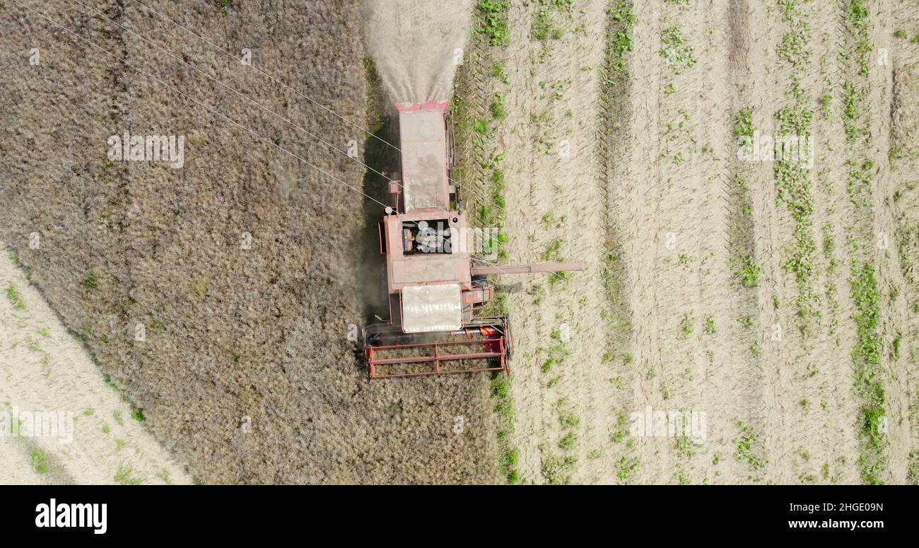 Harvisting Field Agriculture Harvester Harvesting Field Aerial View Stock Photo - Alamy