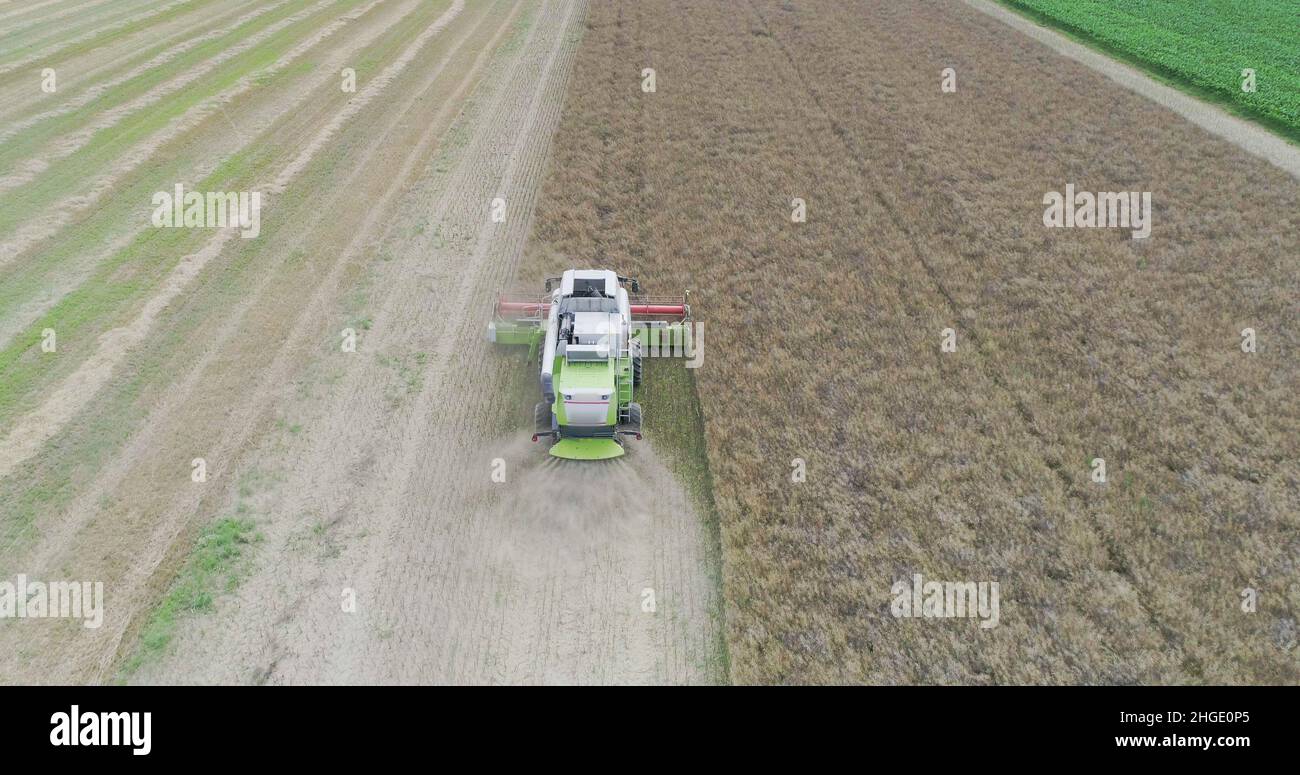 Harvisting Field Agriculture Harvester Harvesting Field Aerial View Stock Photo - Alamy