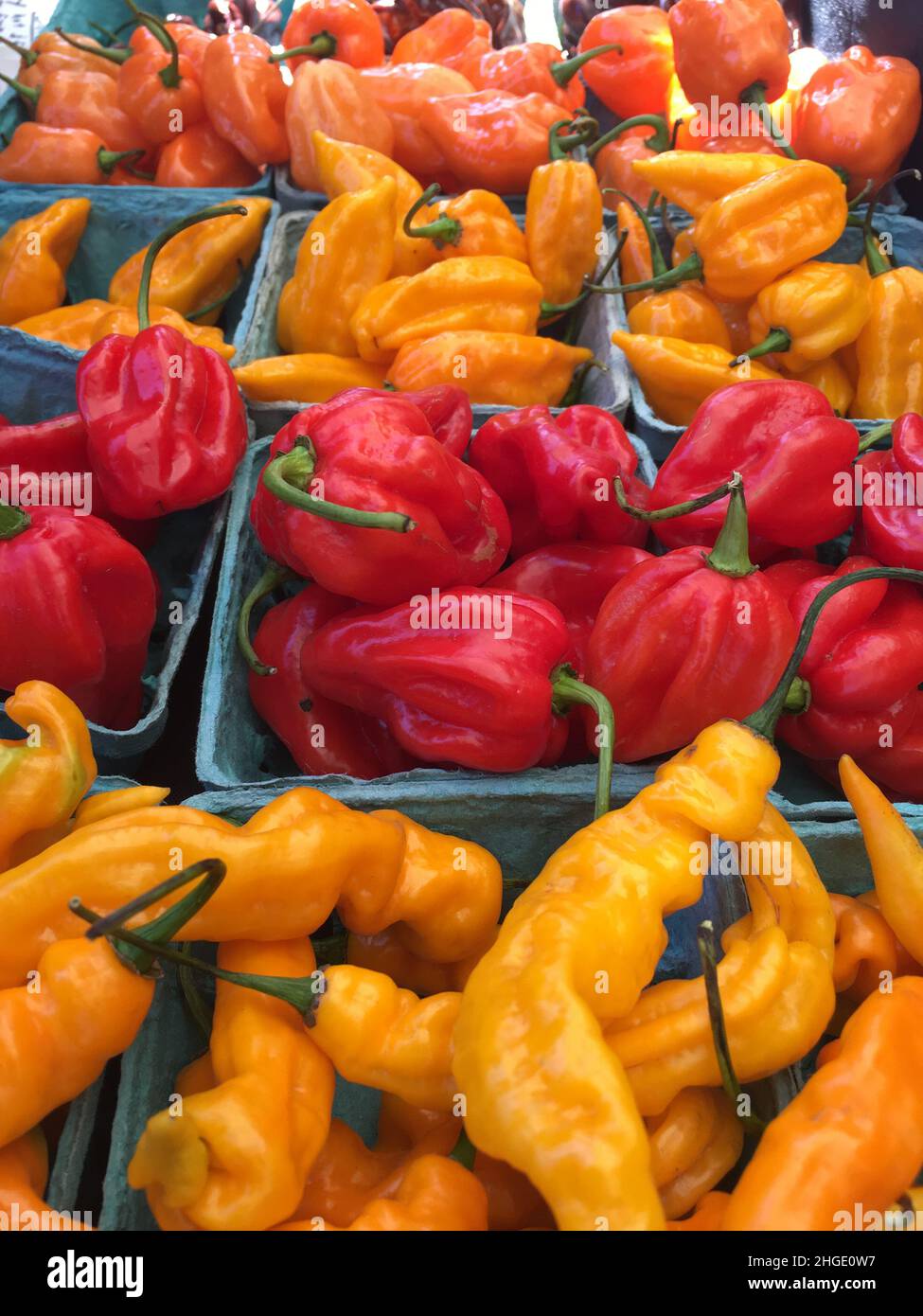 Hot chili peppers on display Stock Photo