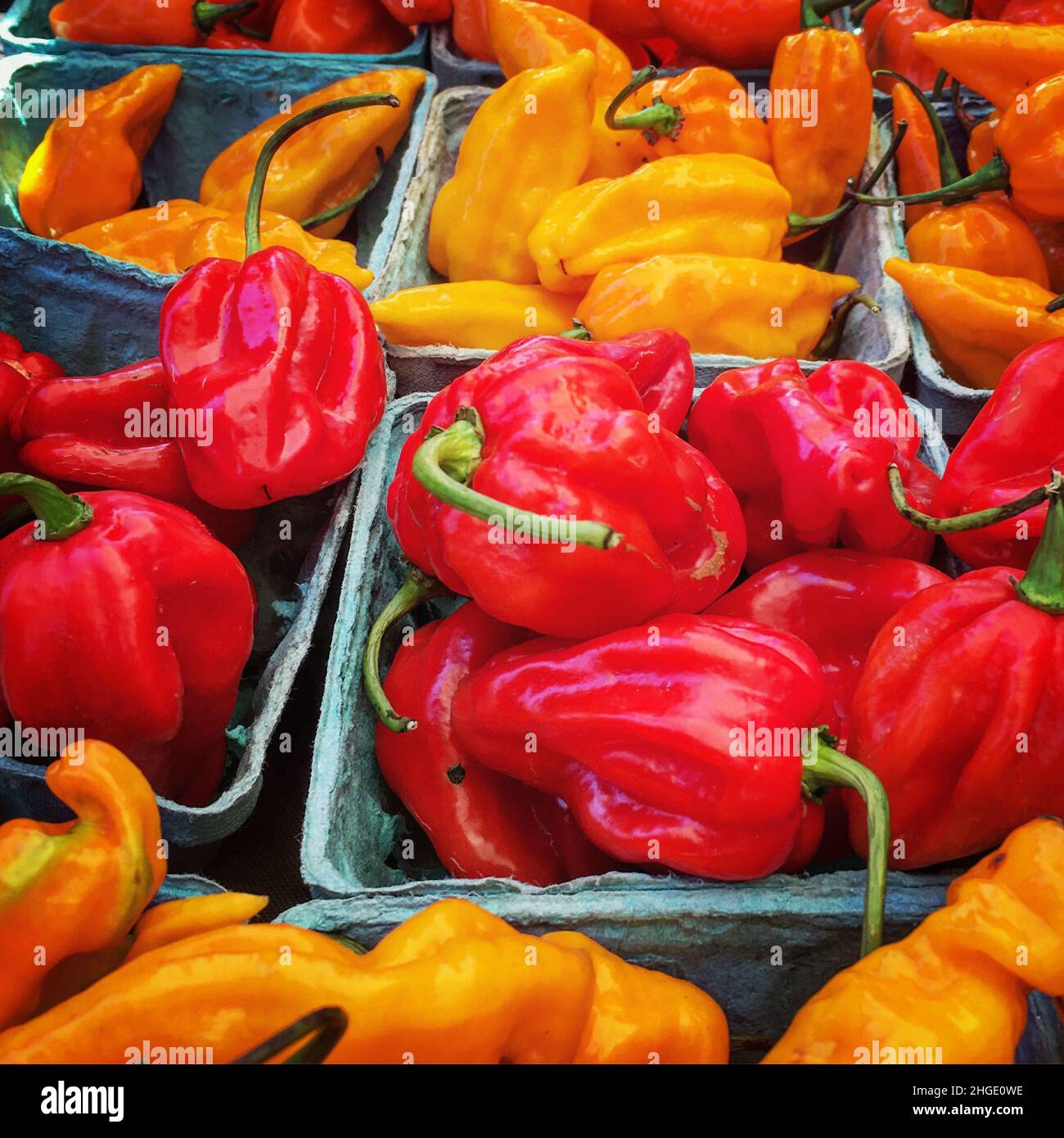 Hot chili peppers on display Stock Photo
