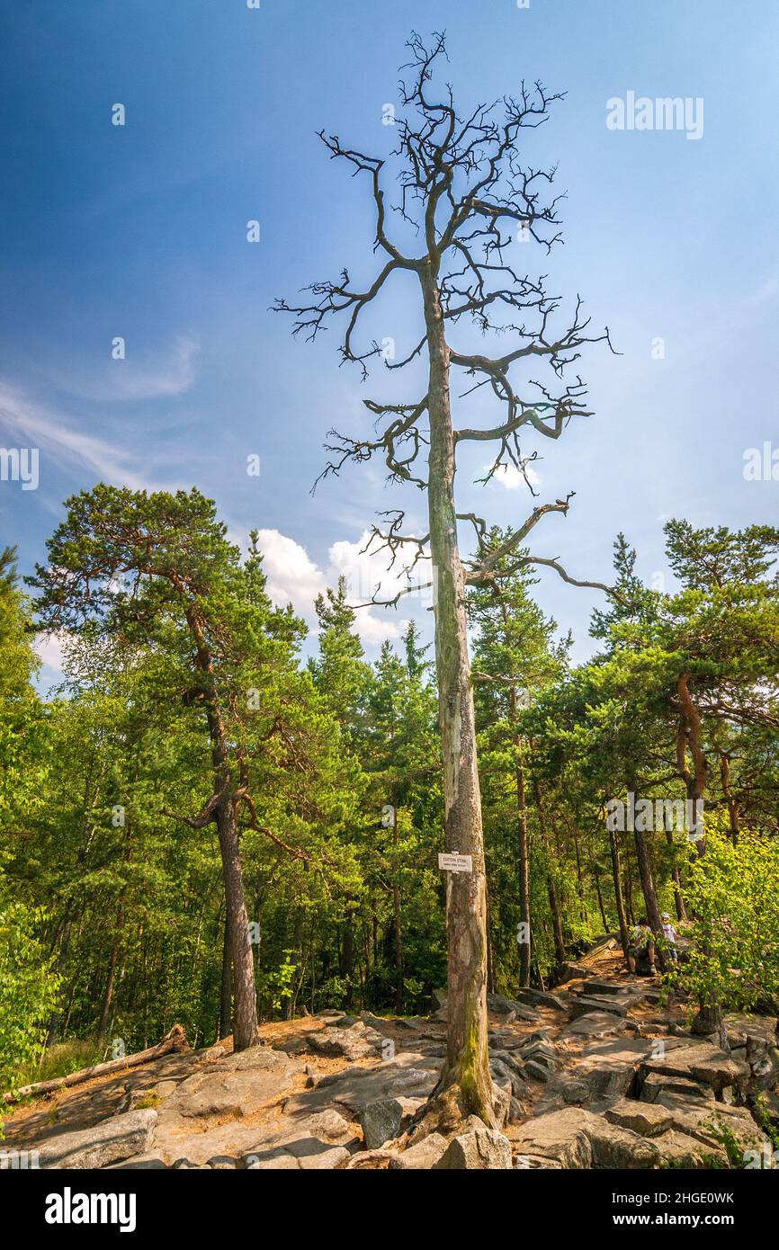 A view of the countryside in The Certova Stena National Nature Reserve, location called as rocky sea in south of the Czech Republic, Europe. Stock Photo