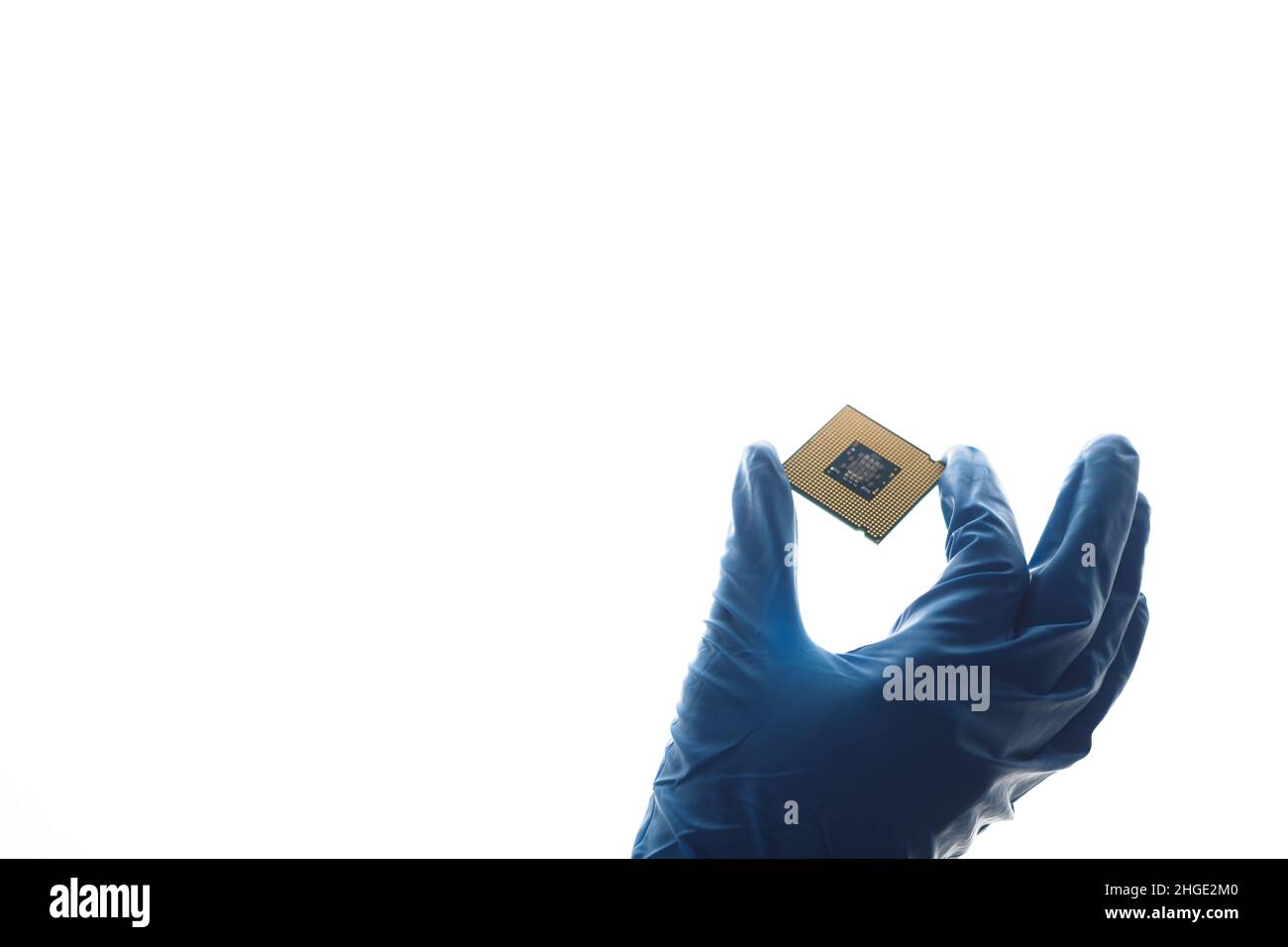 Hand in blue glove holding computer microchip Stock Photo