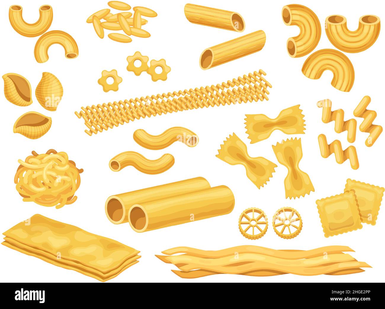 Premium Vector  Types of pasta illustration. labeled italian cuisine shapes  explanation