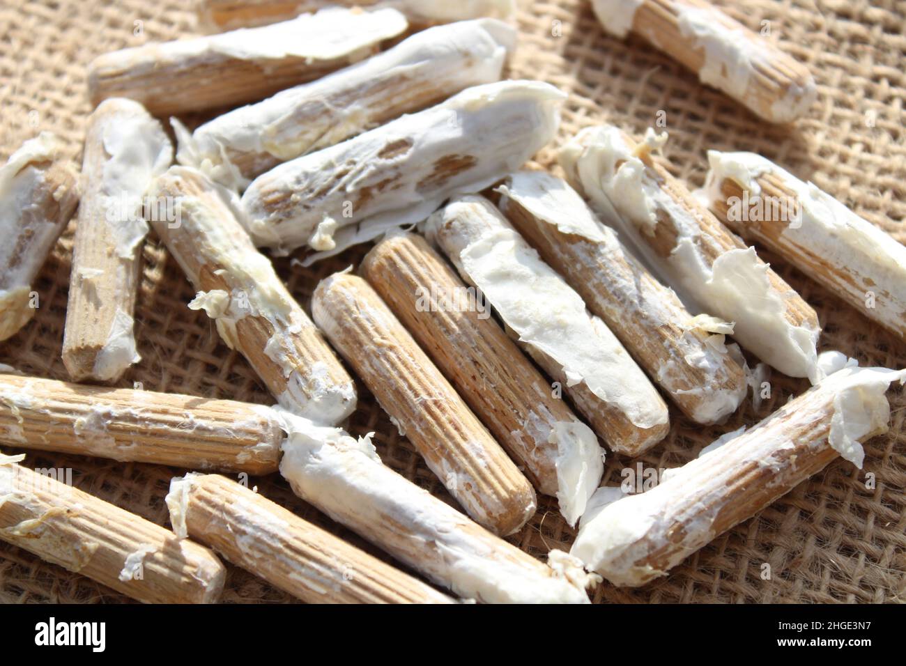 wooden dowel for mushroom cultivation Stock Photo Alamy