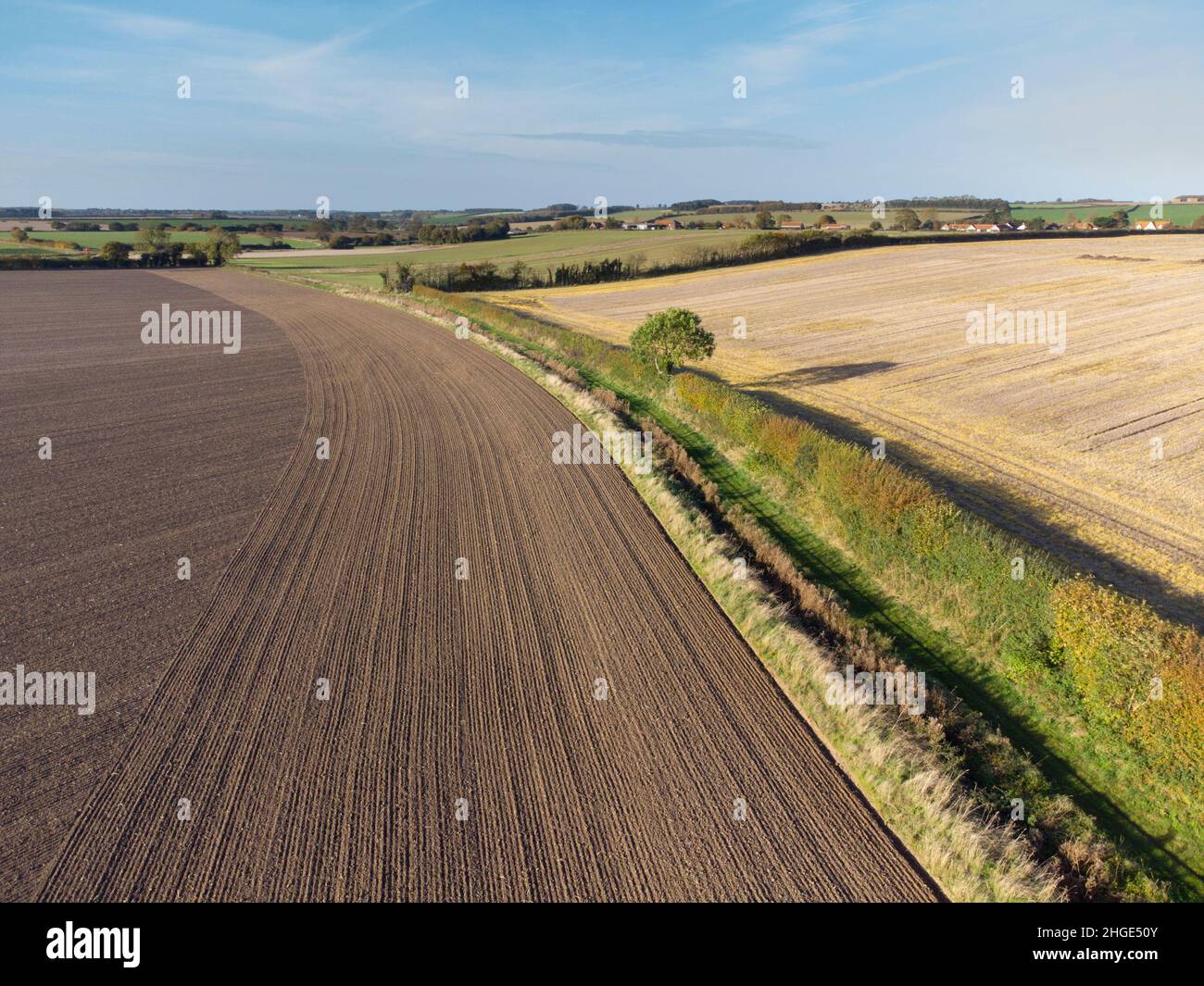 Drilled farmland with hedgerows, Stock Photo