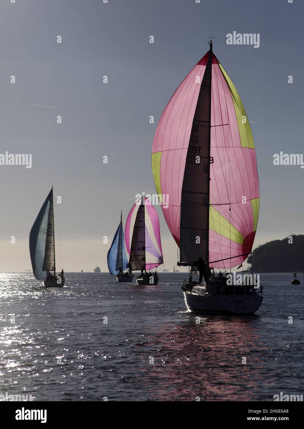 Yachts running downwind with symmetric spinnakers deployed in light wind. Cowes to Cherbourg Race Stock Photo