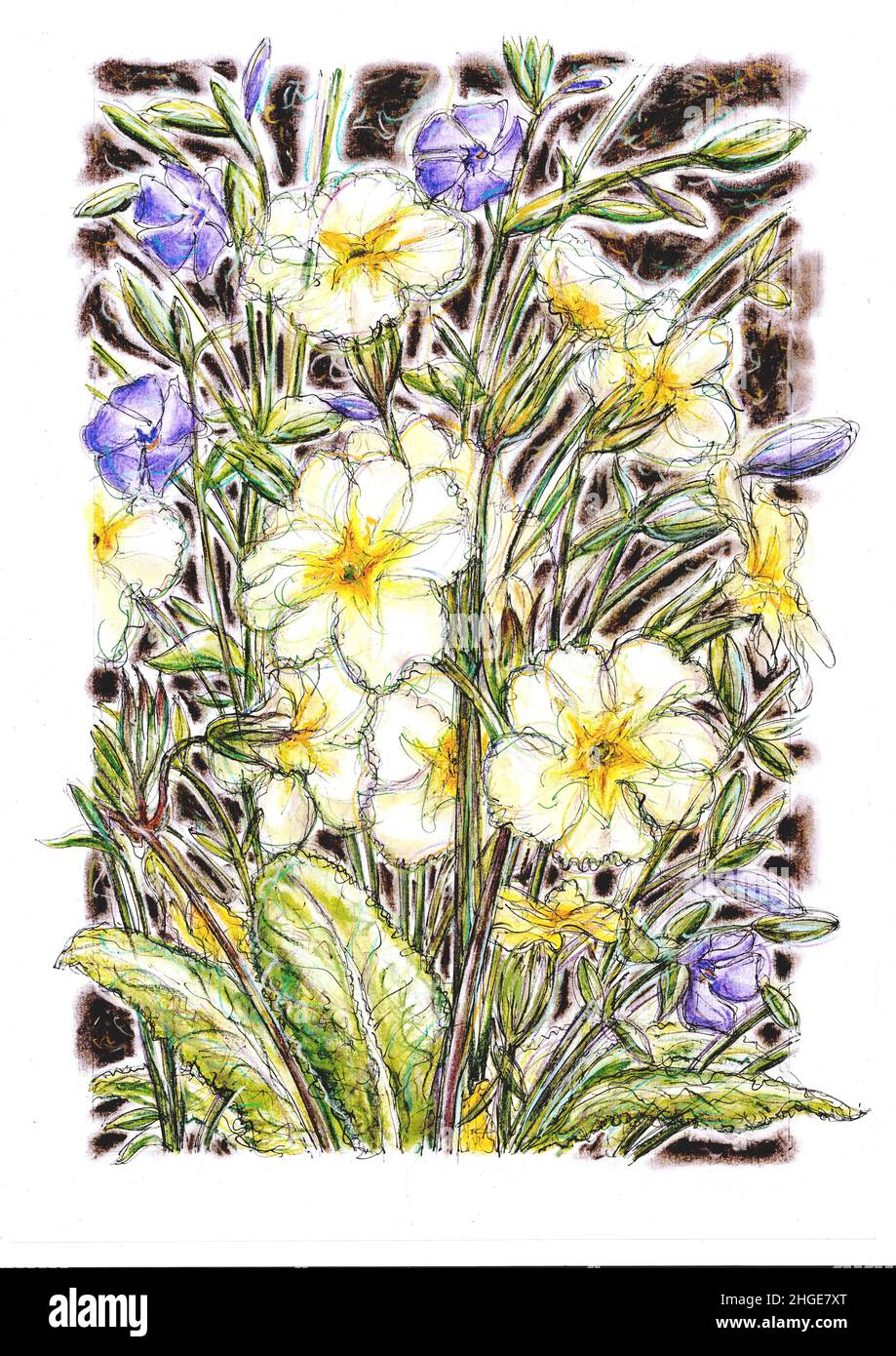 Illustration of primrose and purple periwinkle in full bloom. Stock Photo