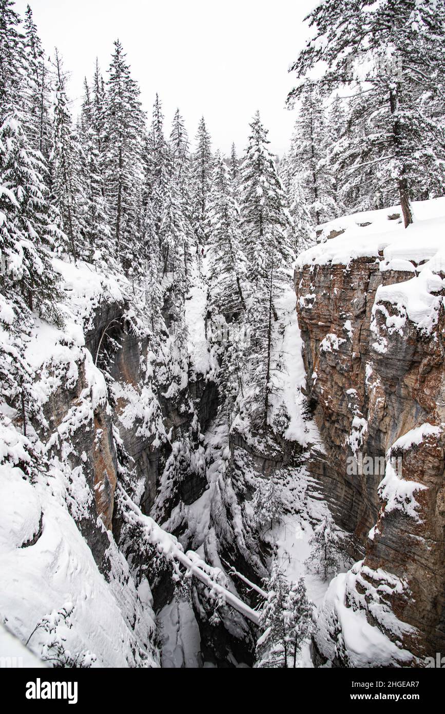 Maligne Canyon, Canada - Dec. 25 2021: Creek frozen in Maligne Canyon surounded by forest Stock Photo