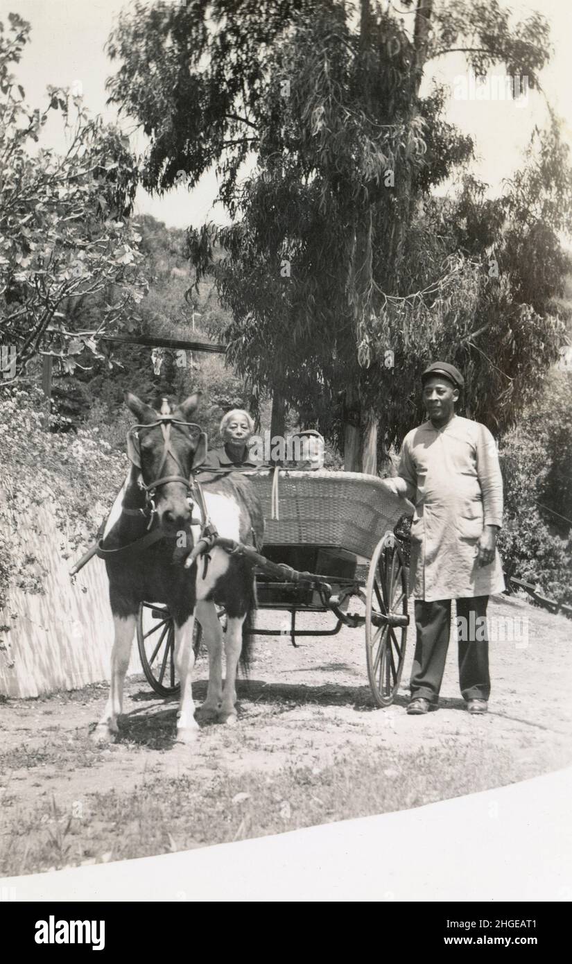 Antique March 1939 photograph, boy in pony cart at Las Tunas Ranch, USA. Exact location unknown, possibly California. SOURCE: ORIGINAL PHOTOGRAPH Stock Photo
