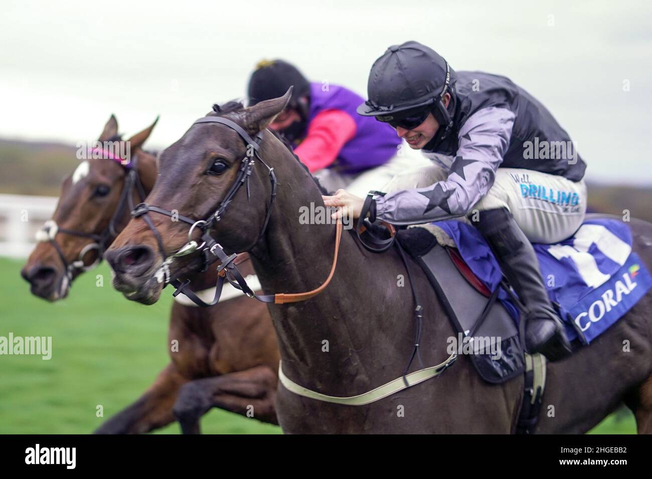 Wonderwall horse hi-res stock photography and images - Alamy