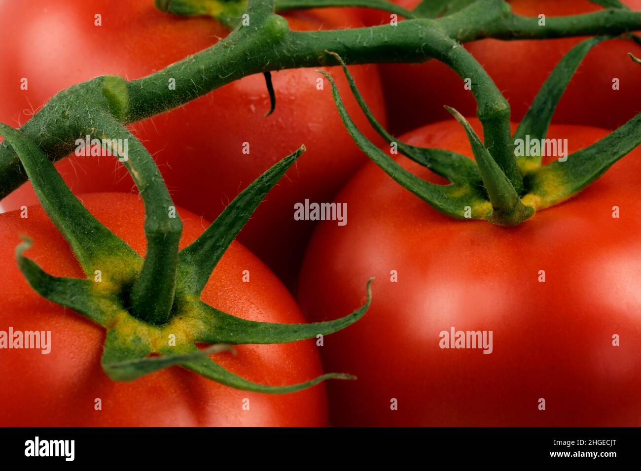 Close up shot of cluster tomatoes. Stock Photo
