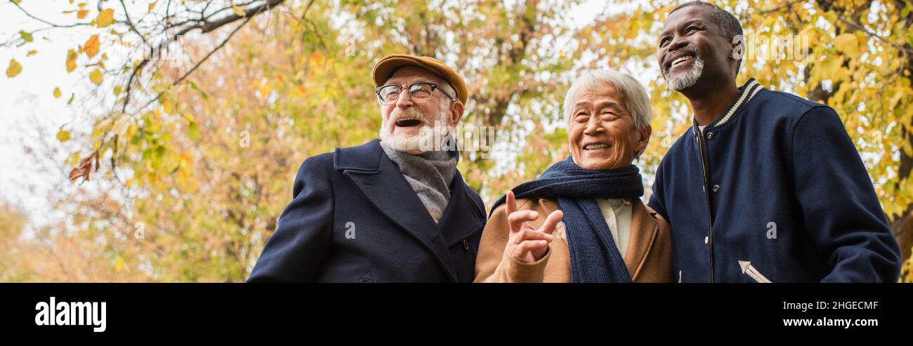 Low angle view of grey haired asian man pointing with finger near multiethnic friends in autumn park, banner Stock Photo