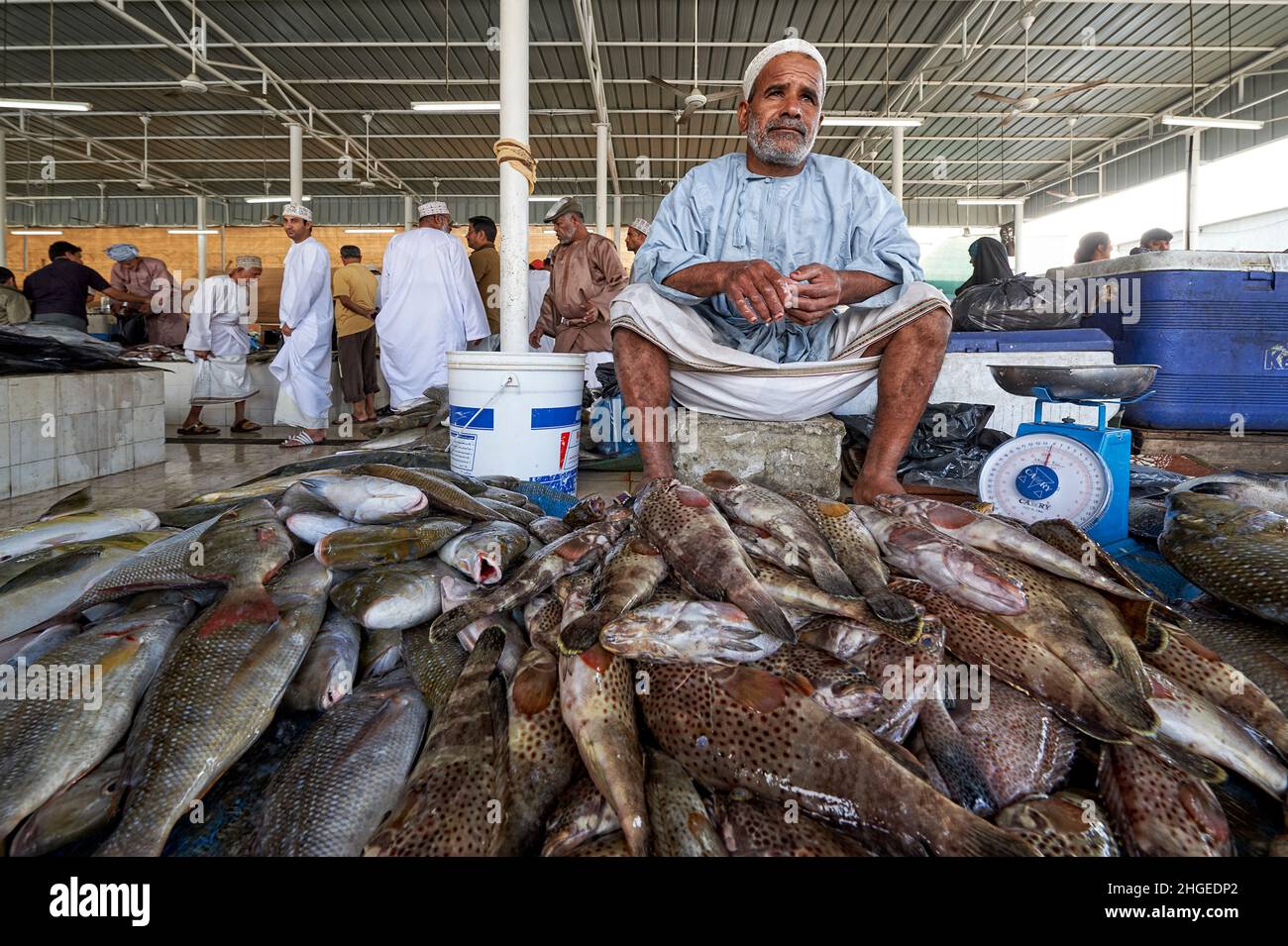 Oman. Muscat. The Fish Market Stock Photo Alamy