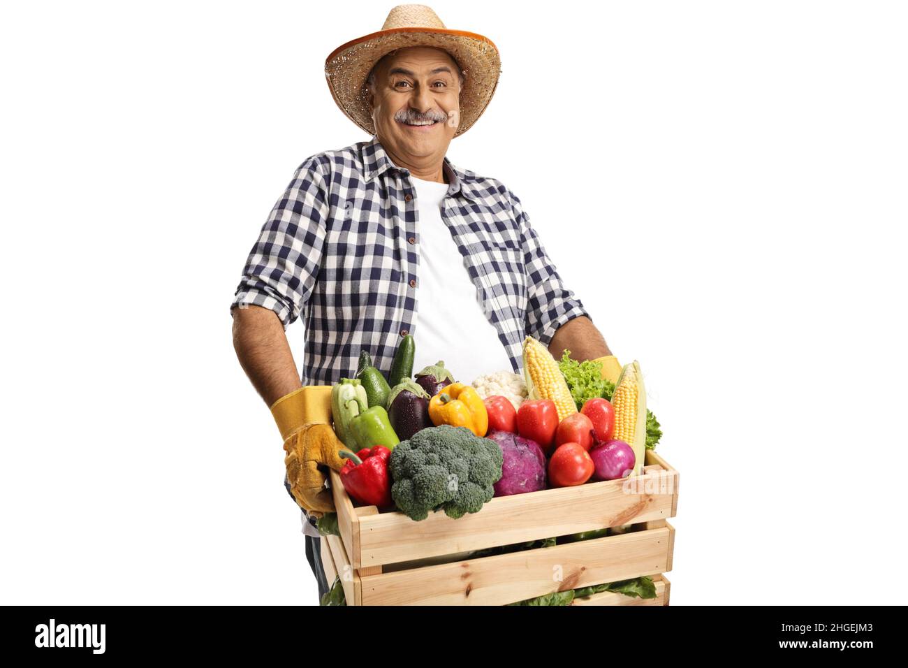 Mature farmer carrying a crate full of fresh vegetabales isolated on ...