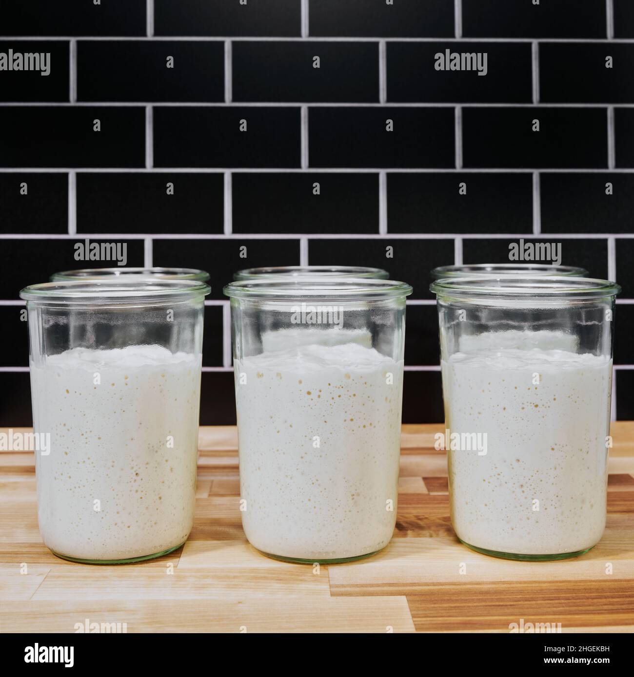 Side view of fermenting sourdough bread starter in glass jars on the