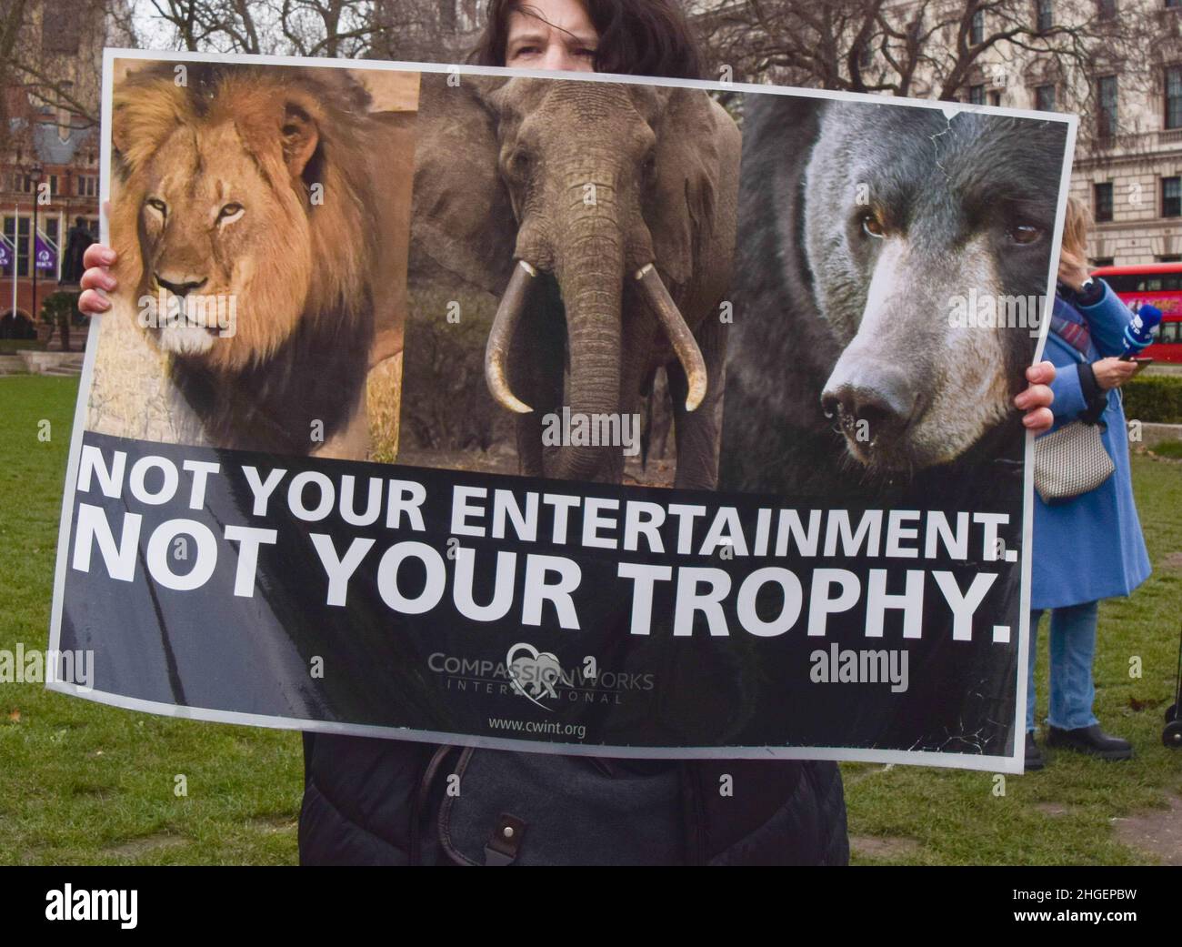 London, UK 19th January 2022. Activists gathered at Parliament Square calling for a ban on trophy hunting and trophy hunting imports. Stock Photo