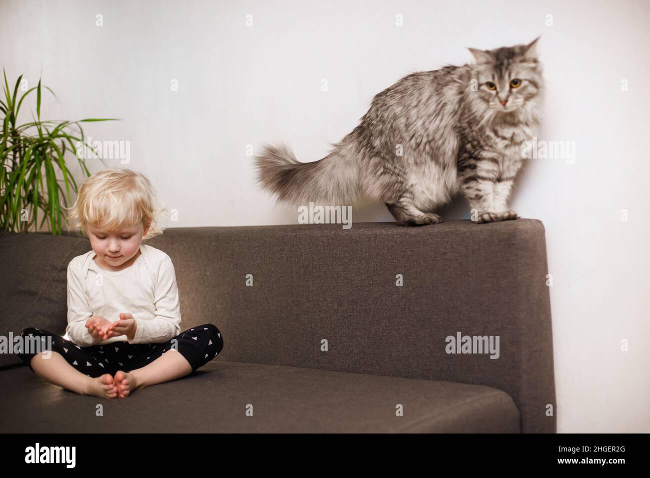 cute little girl sits with legs folded on couch in house. Healthy