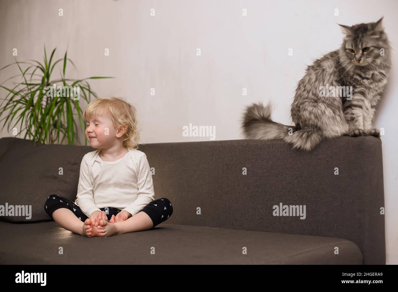 Baby yoga. Little girl doing yoga sitting on the sofa near the cat. Stock Photo