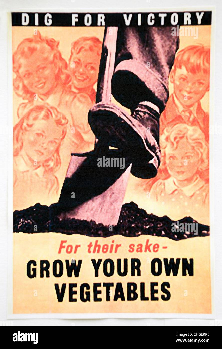 UK, WW2. Dig For Victory poster 1940. Launched in September by The Ministry of Agriculture and Fisheries during the second world war. Stock Photo