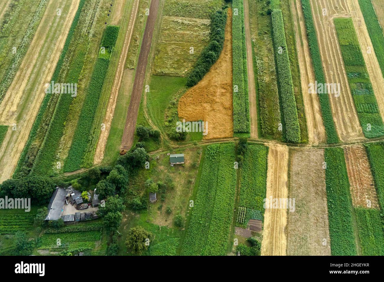 Aerial landscape view of green cultivated agricultural fields with ...