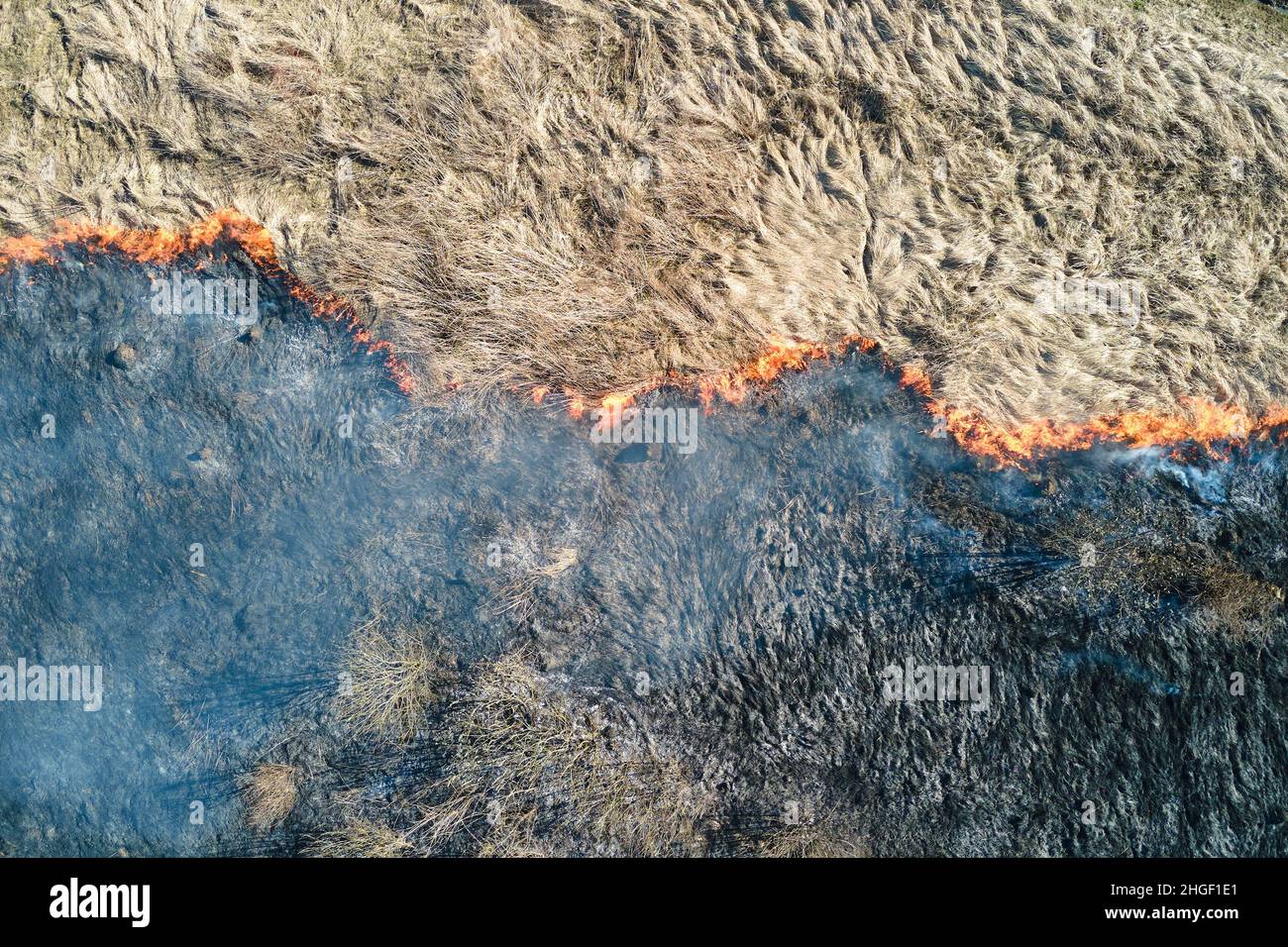 Aerial view of grassland field burning with red fire during dry season