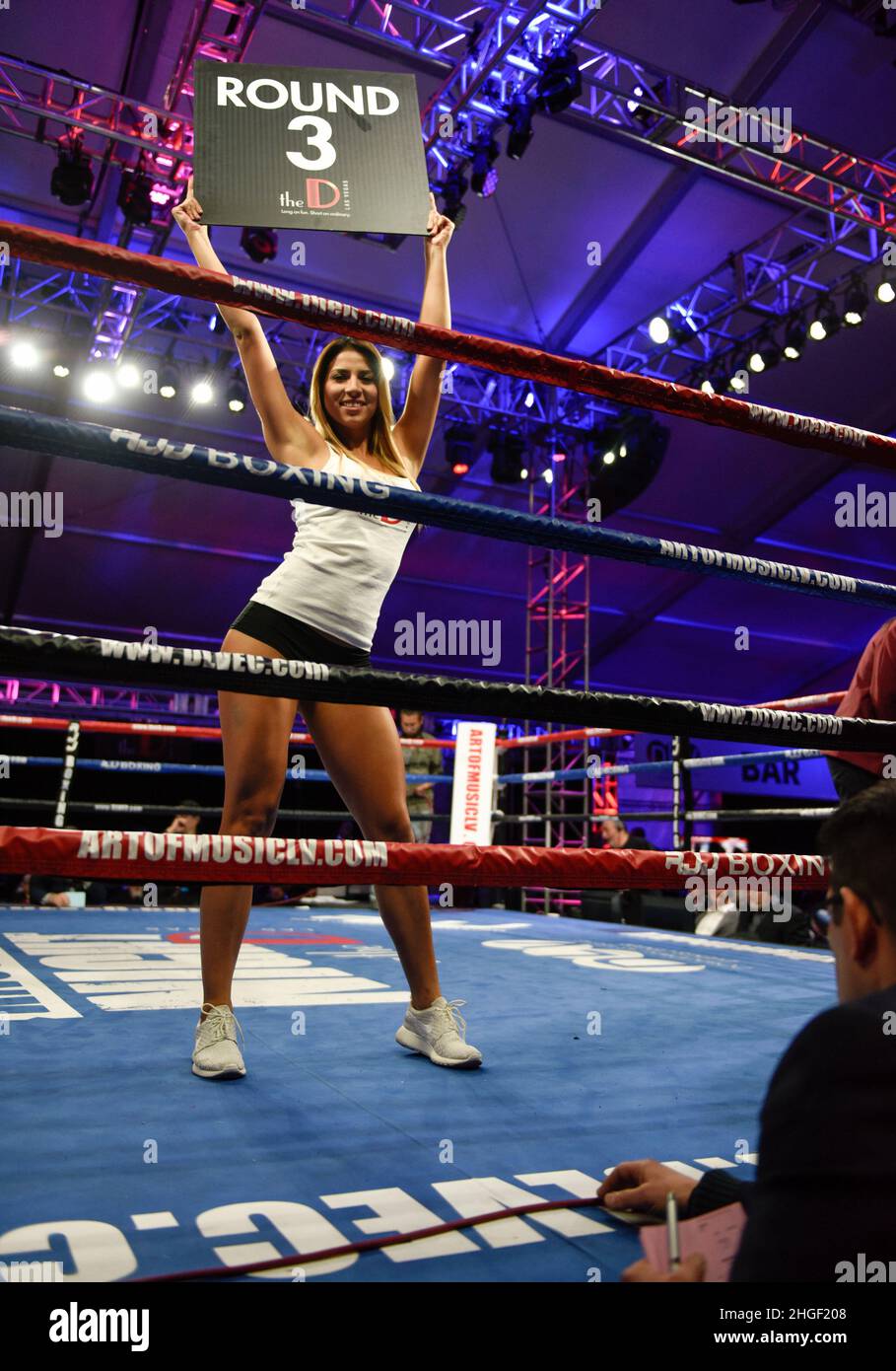 Boxing Ring Girl Stock Photo