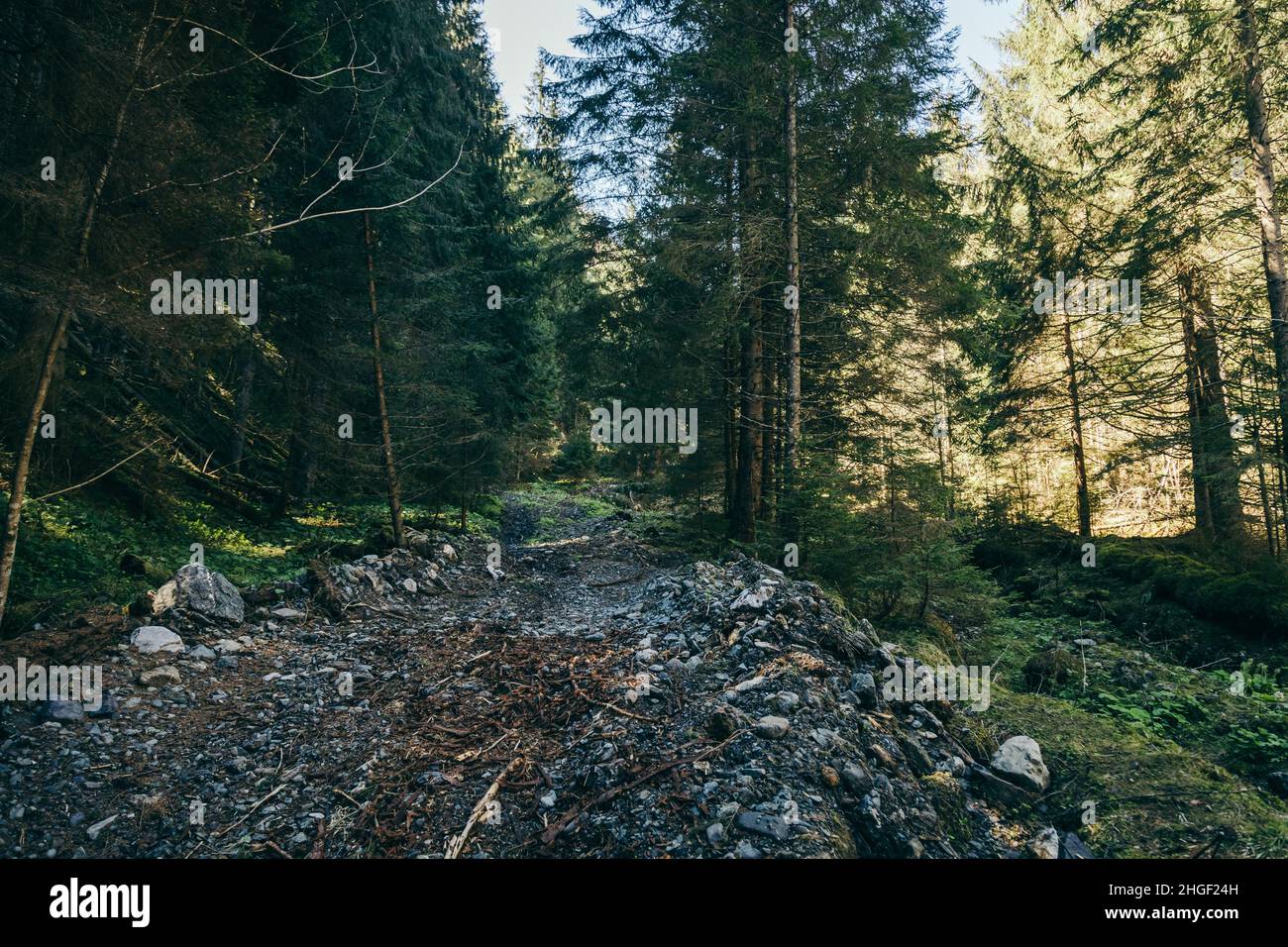 Road made of stones hi-res stock photography and images - Alamy