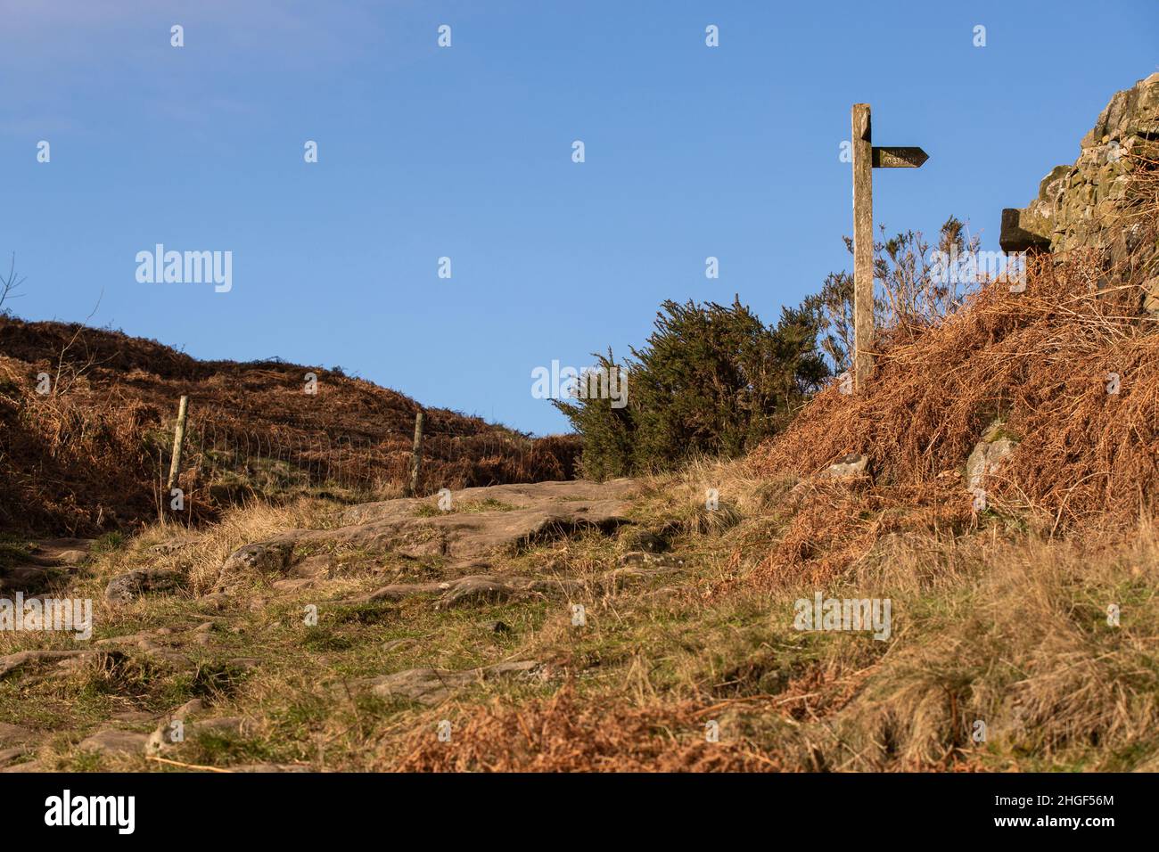 Limestone Way, Robin Hood's Stride, Derbyshire Peak District UK Stock Photo