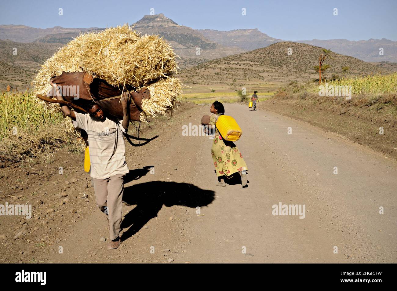 Young man carrying a heavy load on the road to Lalibela, Amhara Region, Ethiopia Stock Photo