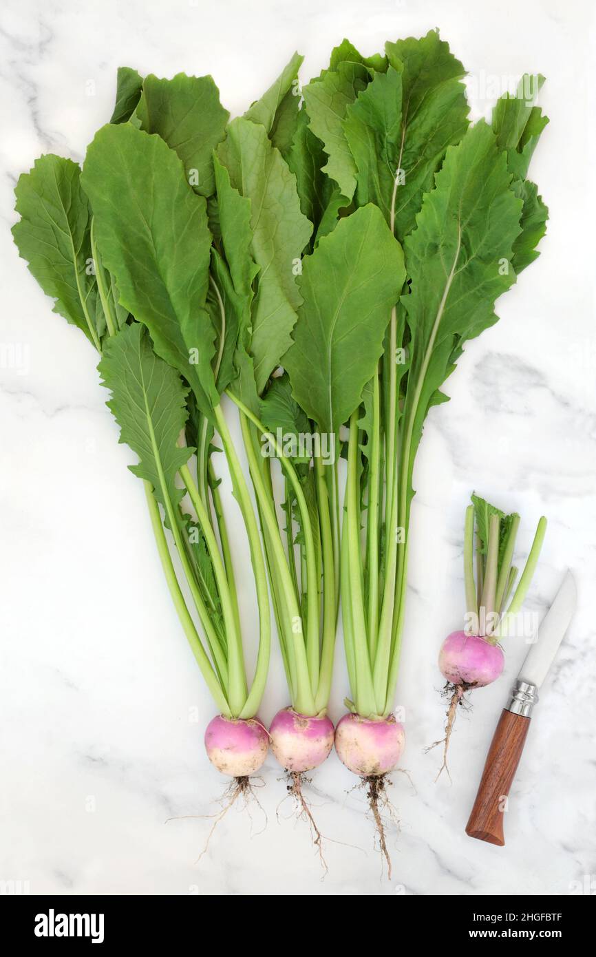 Healthy organic turnip vegetables with leaves and roots. Immune