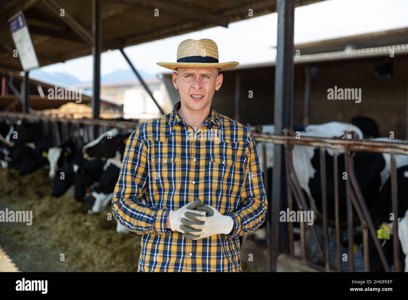 Male farmer posing in cowshed at the cow farm Stock Photo - Alamy