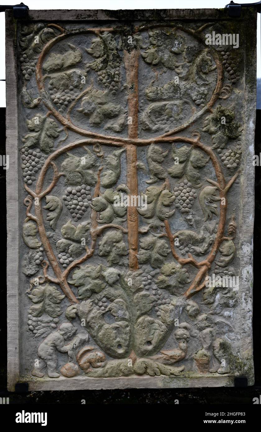 Roman Replica - Grapevine On Stone At Neumagen-Dhron / Moselle Stock Photo